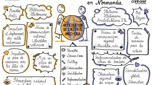 Facilitation graphique sur l'articulation ALNCI-Cria