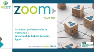 Vignette avec les logos "zooms" et "Carif-Oref" indiquant le titre du zoom. Image sur la droite sugg&eacute;rant la notion de r&eacute;seau.