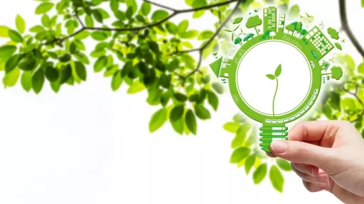 Visuel avec les couleurs vert et blanc, montre sur la droite devant un feuilage