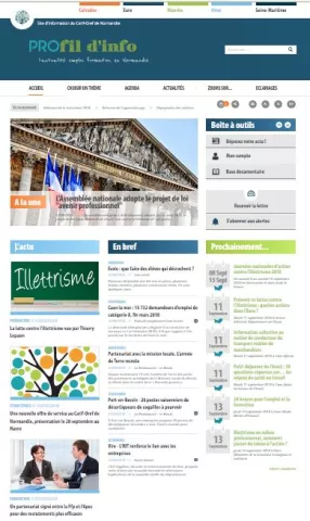 Aper&ccedil;u du site Profil d'Info