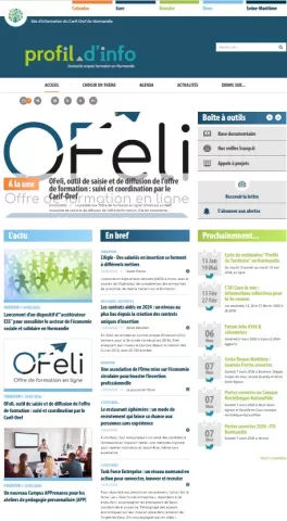 Capture d'&eacute;cran de l'accueil du site PROfil d'info