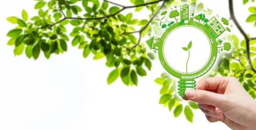 Visuel avec les couleurs vert et blanc, montre sur la droite devant un feuilage