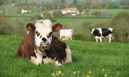 Les métiers de l’agriculture en Normandie