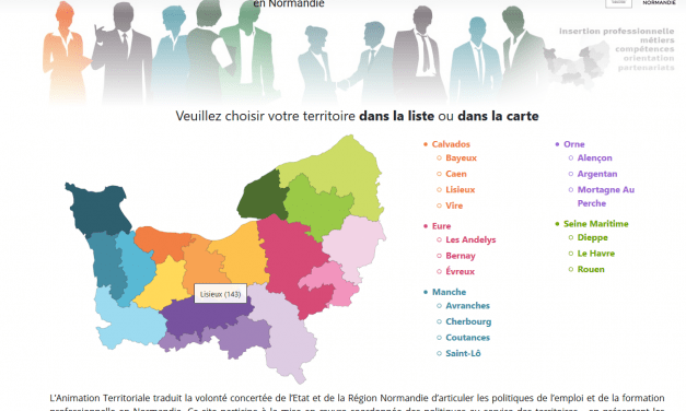 Site de l’Animation territoriale : nouvel outil d’observation et de réflexion partagée sur l’emploi et la formation professionnelle