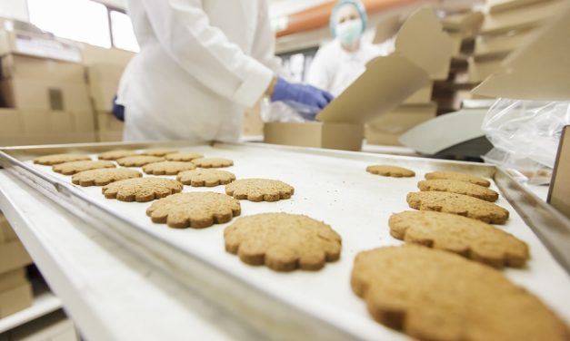 La VAE, levier des ressources humaines dans les industries agroalimentaires ?