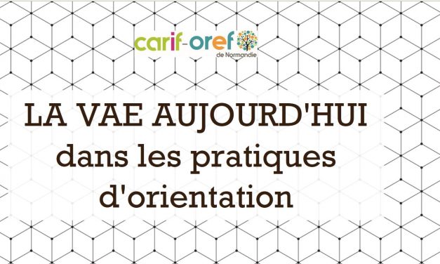 La VAE dans les pratiques d’orientation (2020)