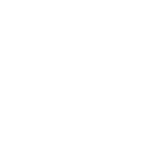 Statoscope