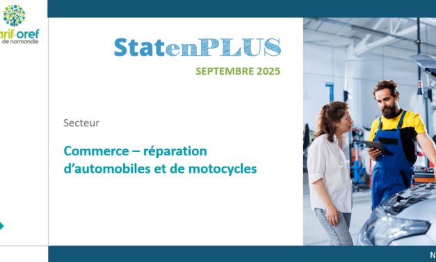 Nouveau StatenPLUS sur le commerce et la réparation d’automobiles et de motocycles