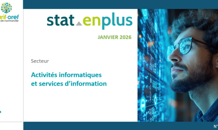 « Activités informatiques et services d&rsquo;information » : nouveau StatenPLUS