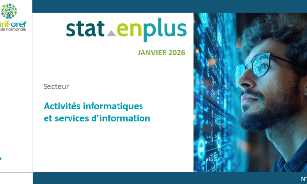 « Activités informatiques et services d&rsquo;information » : nouveau StatenPLUS